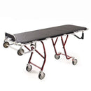Ferno 24-MAXX Mortuary Cot  With Side Arms