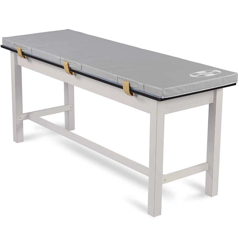 Hausmann Combination Treatment Table and Desk
