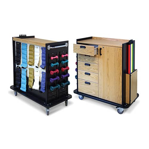 Hausmann Mobile Therapy Station  Accessorized