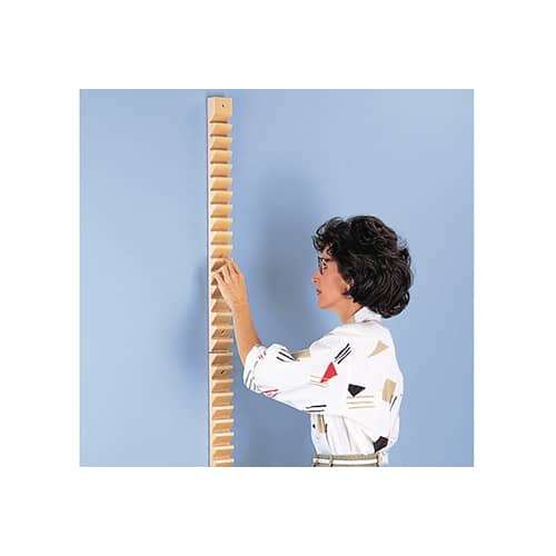 Hausmann Shoulder Ladder
