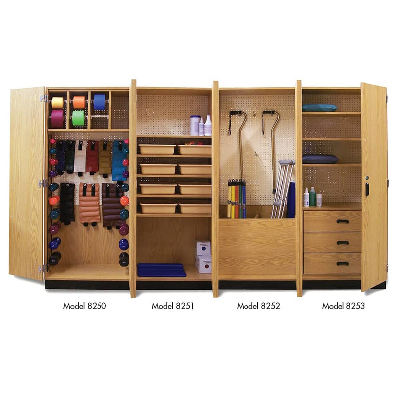 Hausmann Thera-Wall Modular Therapy Storage System 