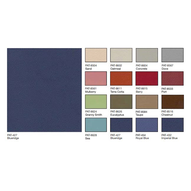 Hausted Video Imaging Chair (VIC)