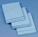 TOWEL ABSORBENT 19.5X23 BL200/CS