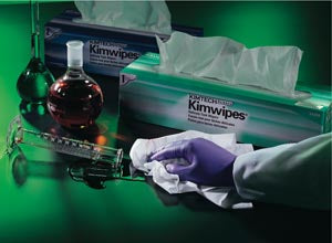 Halyard Purple Nitrile Exam Gloves