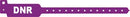 Medical Id Solutions Tri-Laminate Alert Wristbands  Adult/ Pediatric, Tri-Laminate, DNR, Purple, 500/b