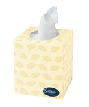 TISSUE FACIAL WHT 2PLY POPUP BOX 90SHEETS/BX 36BX/CS