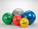 Hygenic/Thera-Band Pro Series Scp Exercise Balls  PRO SERIES SCP  Ball, 75cm / Silver, For Body Heig