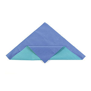 Cardinal Health Sms Two-Color Or Single Layer Sterilization Wrap  CH6G0072 - Sterilization, CH600, 54 x 72, Two-Colo