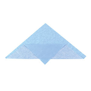 Cardinal Health Sms Two-Color Or Single Layer Sterilization Wrap  CH210072 - Sterilization, CH200, 54 x 72, Single L