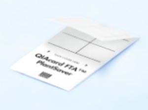 Qiagen Fta Nucleic Acid Collection  FTA PlantSaver Card, 4 Sample Areas, 100/pk