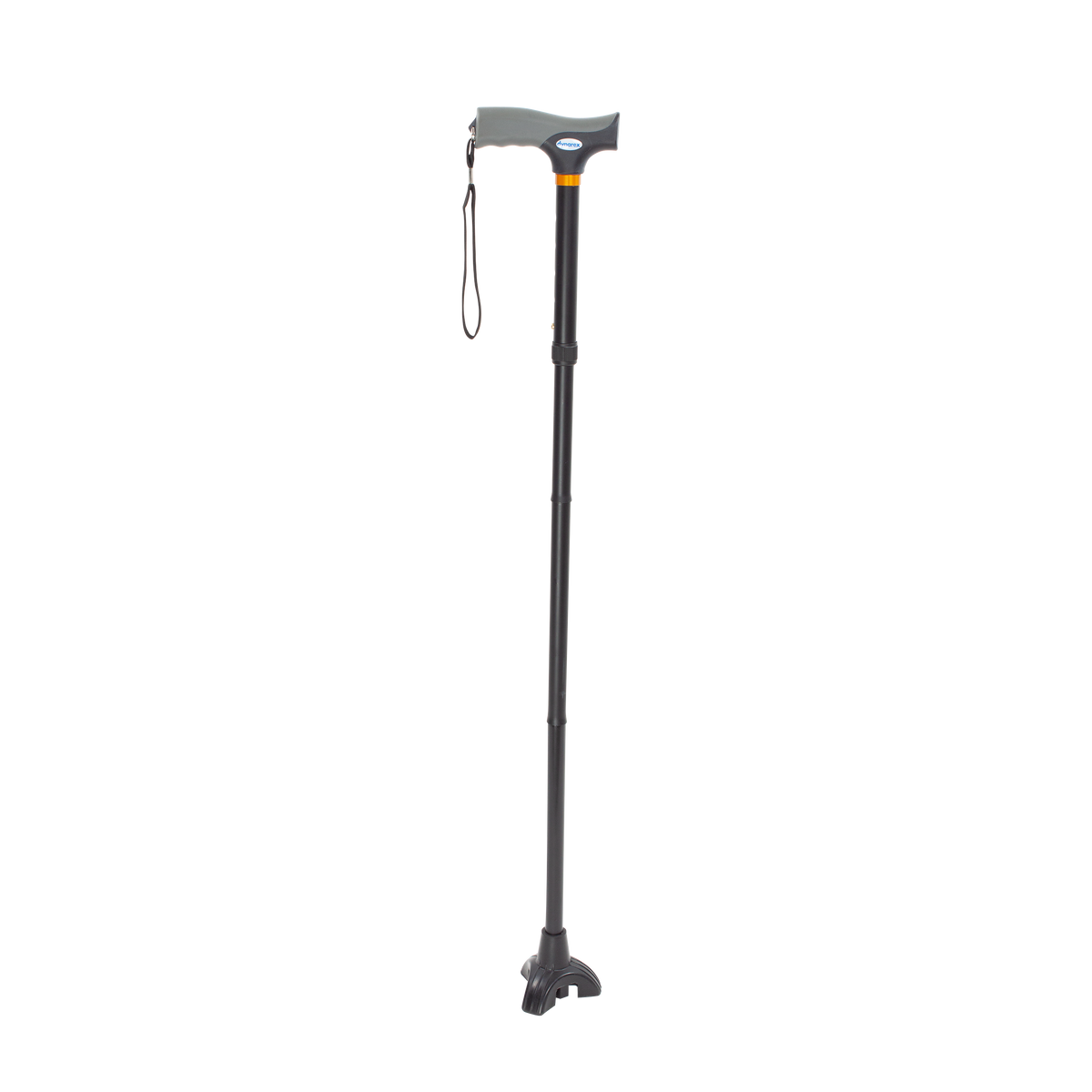 Stand Up Cane PARENT