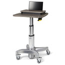 Midmark 6211 Secure Laptop Workstation