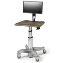 Midmark 6212 Flat Panel PC Workstation with Monitor