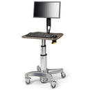 Midmark 6212 Flat Panel PC Workstation with Monitor Extended