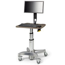 Midmark 6212 Flat Panel PC Workstation 