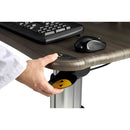 Midmark 6219 Flat Panel Secure PC Workstation - Height Adjustment in Use