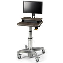 Midmark 6219 Flat Panel Secure PC Workstation 