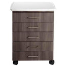 Midmark M5 Mobile Treatment Cabinet with Locks and Kydex Contour Top 
