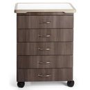 Midmark M5 Mobile Treatment Cabinet with Locks and Soft Edge Bumper Top 