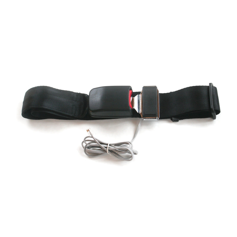 Buckle-Style Seatbelt