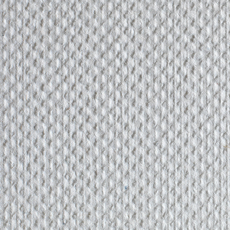 Pacific Blue Basic Multifold Paper Towels texture