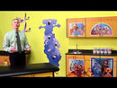 Clinton Pediatric Equipment