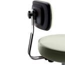 Ritter 273 Air Lift Stool Backrest