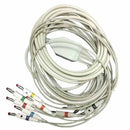 Schiller 10-Lead Patient Cable 