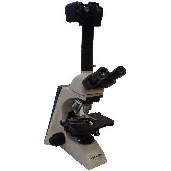 Seiler Microlux IV Digital Camera Compound Microscope - MLX817-DSLR