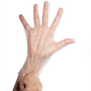 Sempermed SemperGuard FoodSafe Stretch Poly Gloves (10 Boxes/Case) 