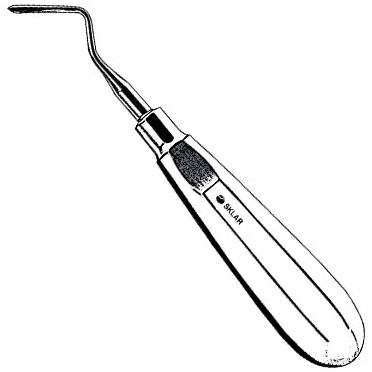 Sklar Apical Elevator