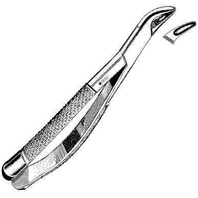 Sklar Dental Childrens Extracting Forceps