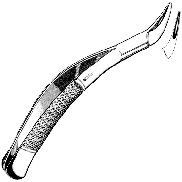 Sklar Dental Extracting Forceps