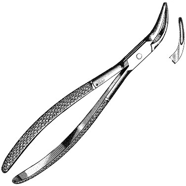 Sklar Dental Witzel Extracting Forceps  Witzel Extracting Forceps, Lower