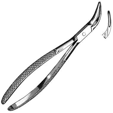 Sklar Witzel Extracting Forceps