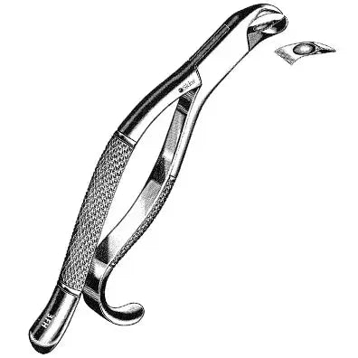 Sklar Woodward Extracting Forceps