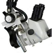 Wallach Focusing Handles