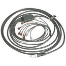 Welch Allyn Q-Stress 10 Lead Patient Cable with Snap Connection  25" (63.5 cm)
