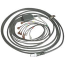 Welch Allyn Q-Stress 10 Lead Patient Cable with Snap Connection - 25" (63.5 cm)