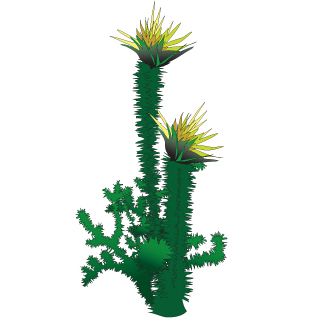 Clinton Cactus Wall Sticker