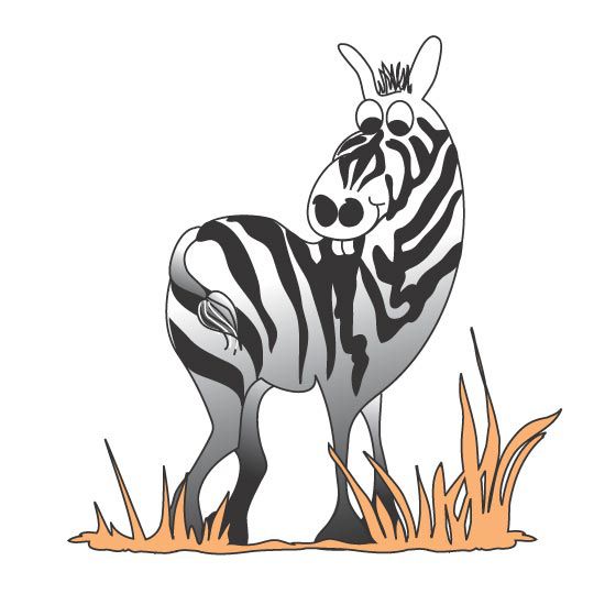 Clinton Zebra Graphic