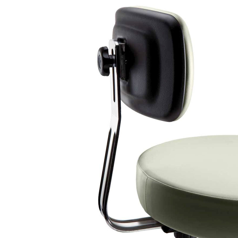 Ritter Stool Backrest