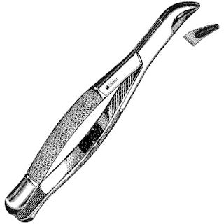 Sklar Dental Extracting Forceps #101