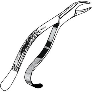 Sklar Dental Extracting Forceps #103