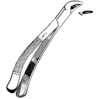 Sklar Dental Extracting Forceps #151