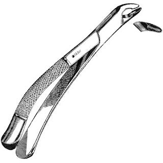 Sklar Dental Extracting Forceps #151A