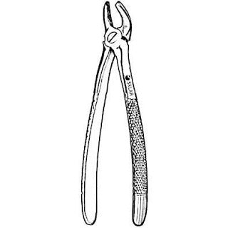 Sklar Dental Extracting Forceps #19