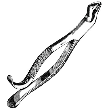 Sklar Dental Extracting Forceps #210H