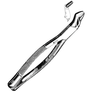 Sklar Dental Extracting Forceps #210S