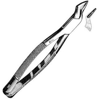 Sklar Dental Extracting forceps #286